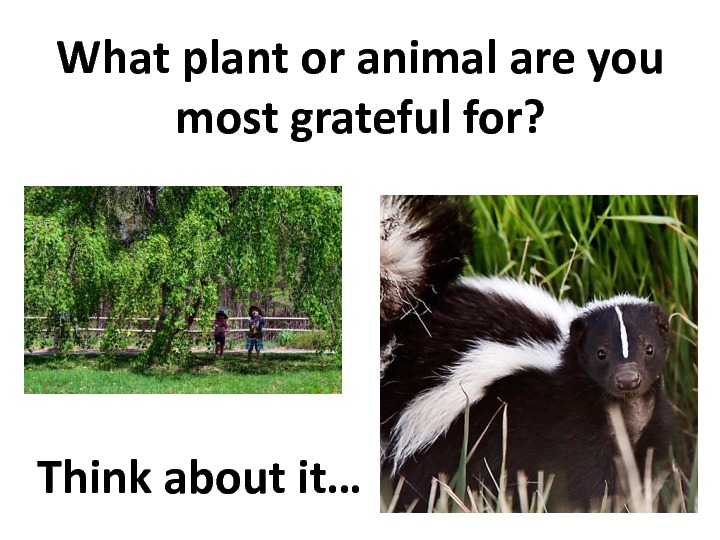 gratitude-slides-92